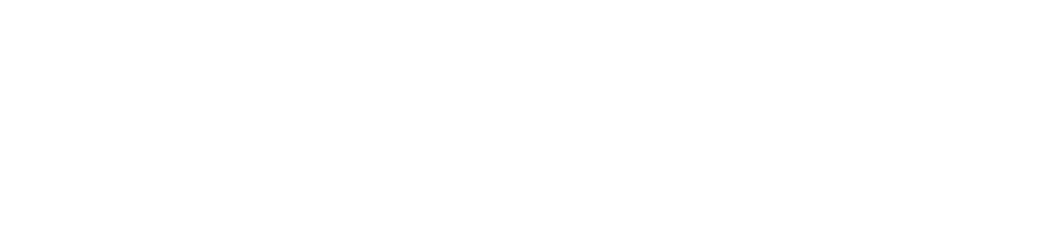 Momentum
